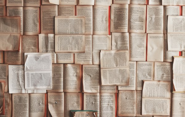 Licenciatura en Lengua y Letras Modernas